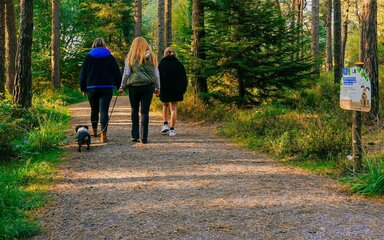 Three women walking along a forest path, one walking a small dog on a lead.