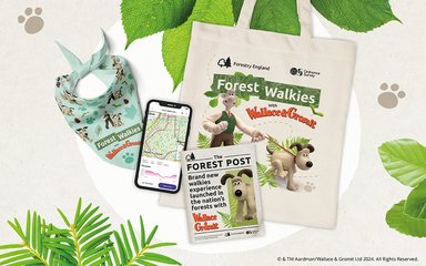 A flat lay showing a branded tote bag, dog bandana, leaflet and mobile phone showing a route map