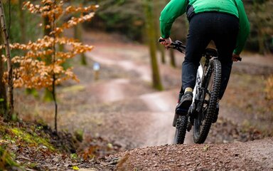 Person on mountain bike on a forest track in autumn.