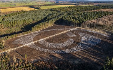 Painted Forest Eye from sky