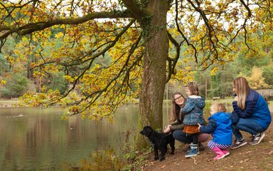 Family around lake Forest of Dean