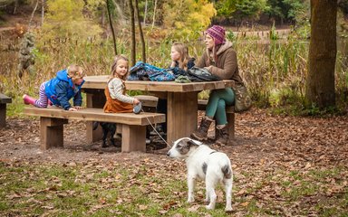 Forestry England’s top 10 picnic spots