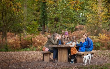 A group of people having a picnic on a picnic bench in an autumnal Forest of Dean