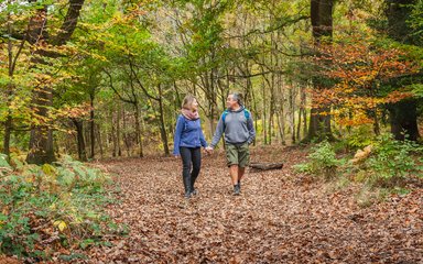 Couple walking in autumn forest