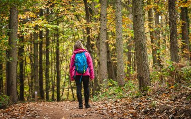 Women in pink coat walking through spring woodland