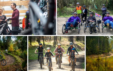 An image collage of forest views and groups of people on various cycling bikes