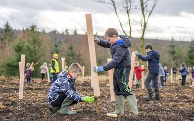 children planting trees in Dalby forest