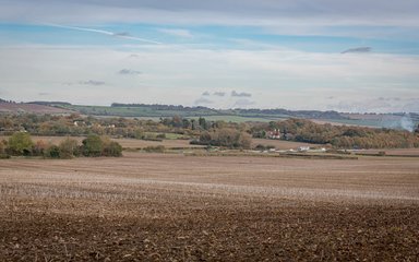 View of fields at Pleasant Forest soon to become new woodland