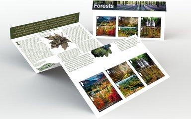 Royal Mail Forests stamps collection - presentation pack