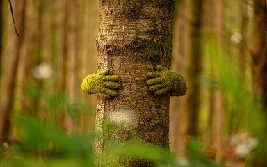Tree hug sculpture - two grass coloured hands hugging a tree