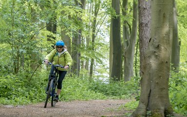 Woman on the easy cycle trail at Friston Forest 