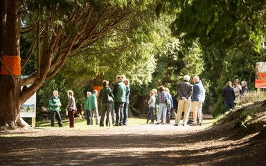 Bedgebury National Pinetum Areng Valley photography exhibition