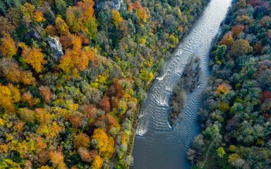 Aerial view of forest in autumn colour with a river running through it