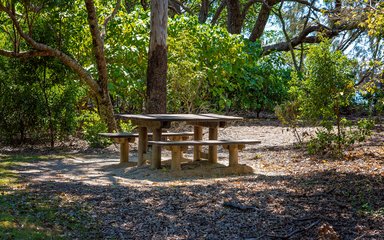 Picnic table in forest