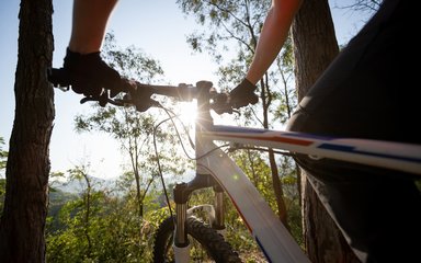 A person holds the handles of a bike as they look at the view