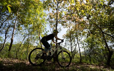 Woman mountain biking on spring forest trail