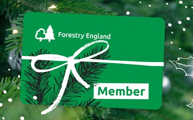 Gift Membership for Christmas