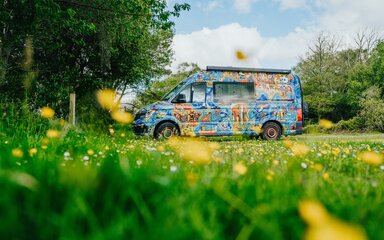 Campervan parked in forest car park with colourful decoration