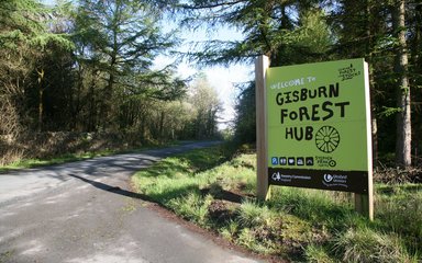 Gisburn Forest entrance