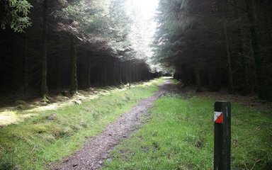 Orienteering route at gisburn 