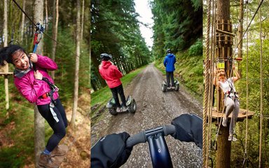 Go Ape activities