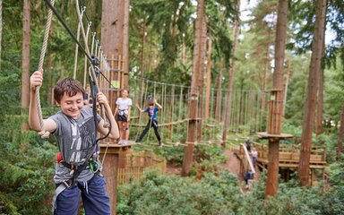 Older children wearing harnesses on a wooden walkway high in the trees.