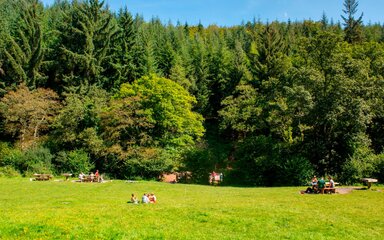 Wide view of a green meadow surrounded by forest, with groups of people eating picnics.