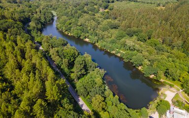 Aerial image of Lower Cannop Pond, a reservoir within a forest