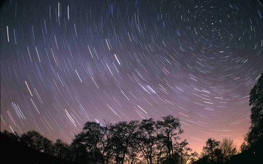 Long exposure night sky over trees