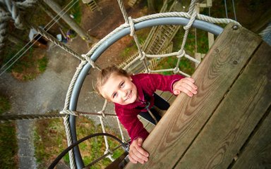 Go ape tree top junior Grizedale 