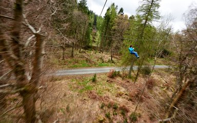 Go ape zip trekking adventure Grizedale 