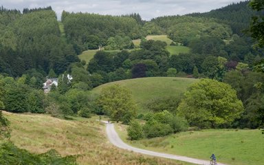Grizedale landscape generic