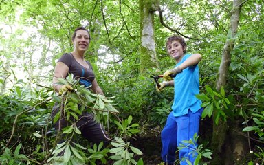 Grizedale family volunteering 