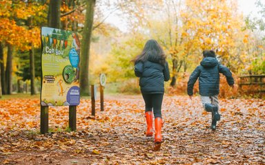 two children running through autumnal forest Gruffalo trail