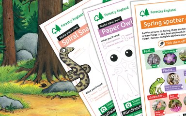 Gruffalo Spotters activity sheets