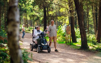A Tramper user and walker on a wide flat forest trail
