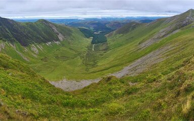 A view down a mountain valley with forest in the background