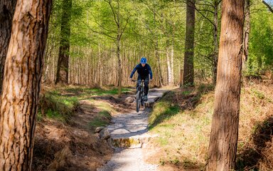 cyclist rides drops on lime burner at High Lodge