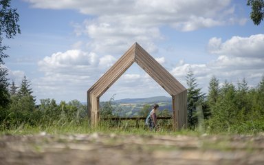 Wildlife hide looking out onto sunny forest