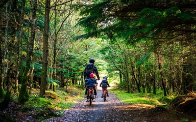 Cycling & mountain biking