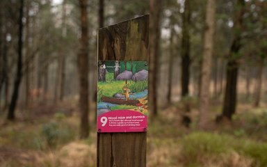 Gruffalo orienteering marker