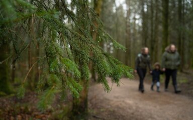 Two adults and a child walking on a forest path.