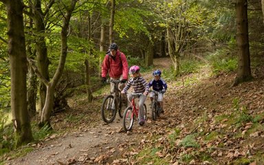 Family on bike ride in the forest