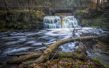 Small waterfall in forest