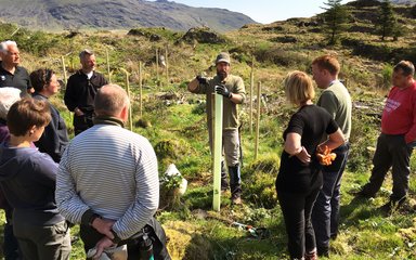 Hardknott volunteers Grizedale 