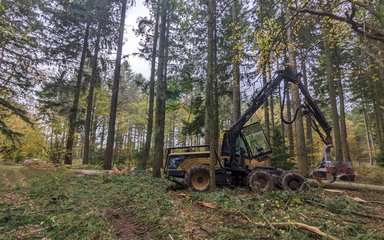 Harvester in Savernake Forest