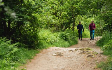 A couple walking along a forest trail