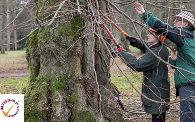Westonbirt Volunteer