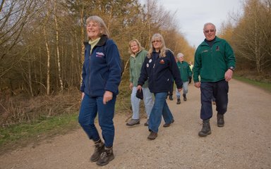 Health walk event at Whinlatter