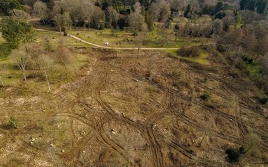 A drone image showing a vast piece of land that has been clear felled. 